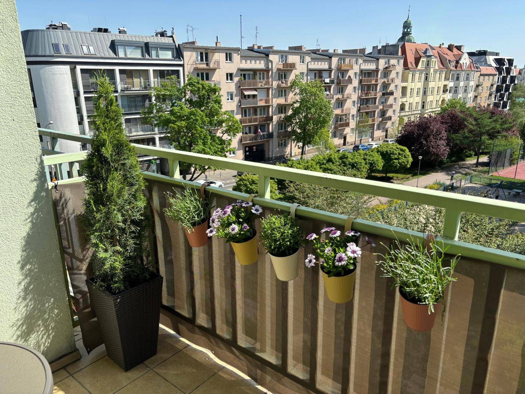 Apartament Wilda Poznań